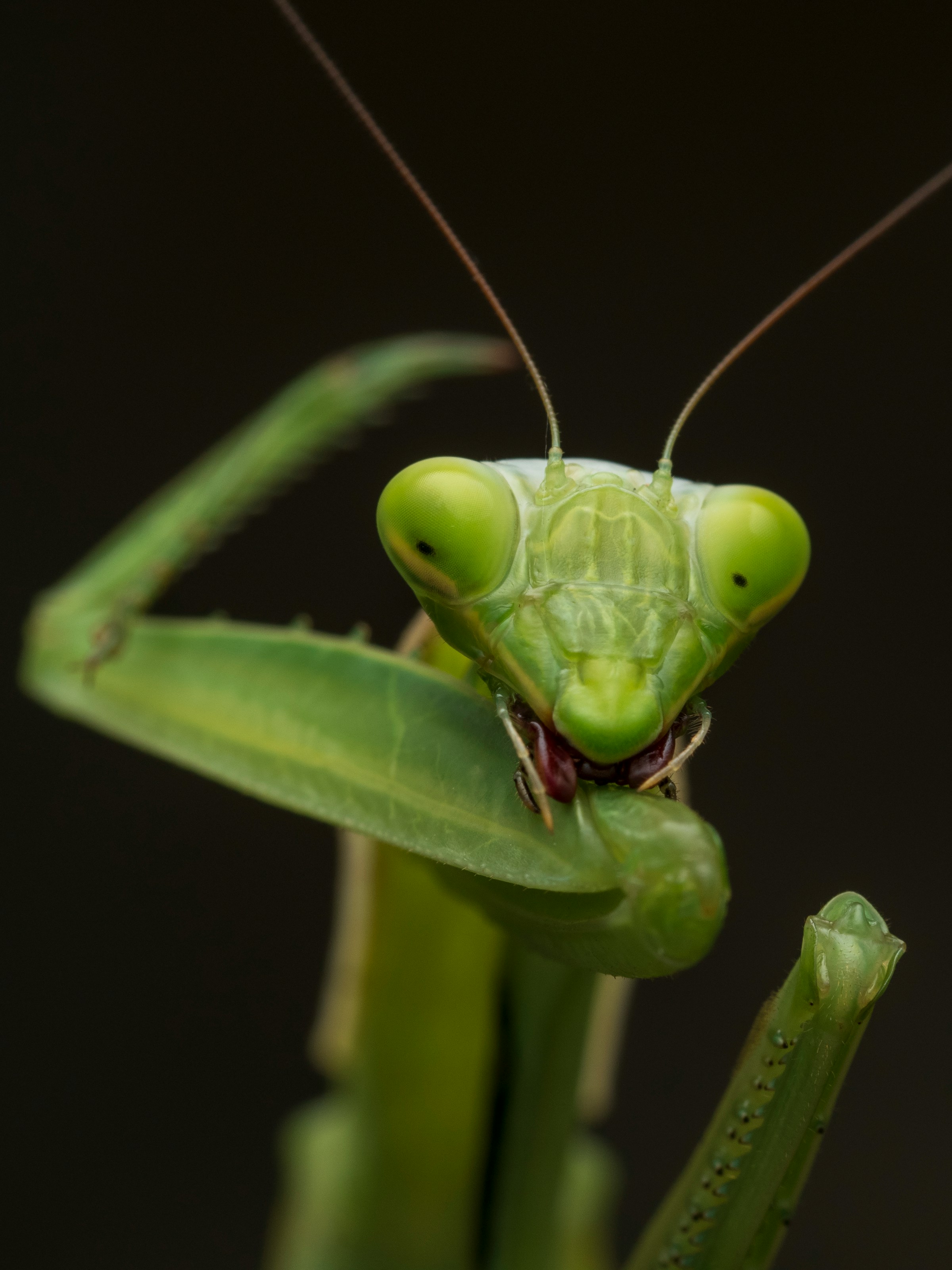 janan-lagerwall-ypjKjNNth60-unsplash.jpg